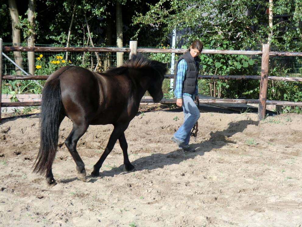 paardencoaching en zelfvertrouwen