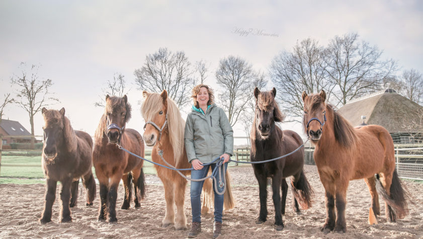Paardencoach Maaike Goedhart- de Hoop
