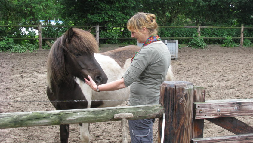 persoonlijke ontwikkeling paarden