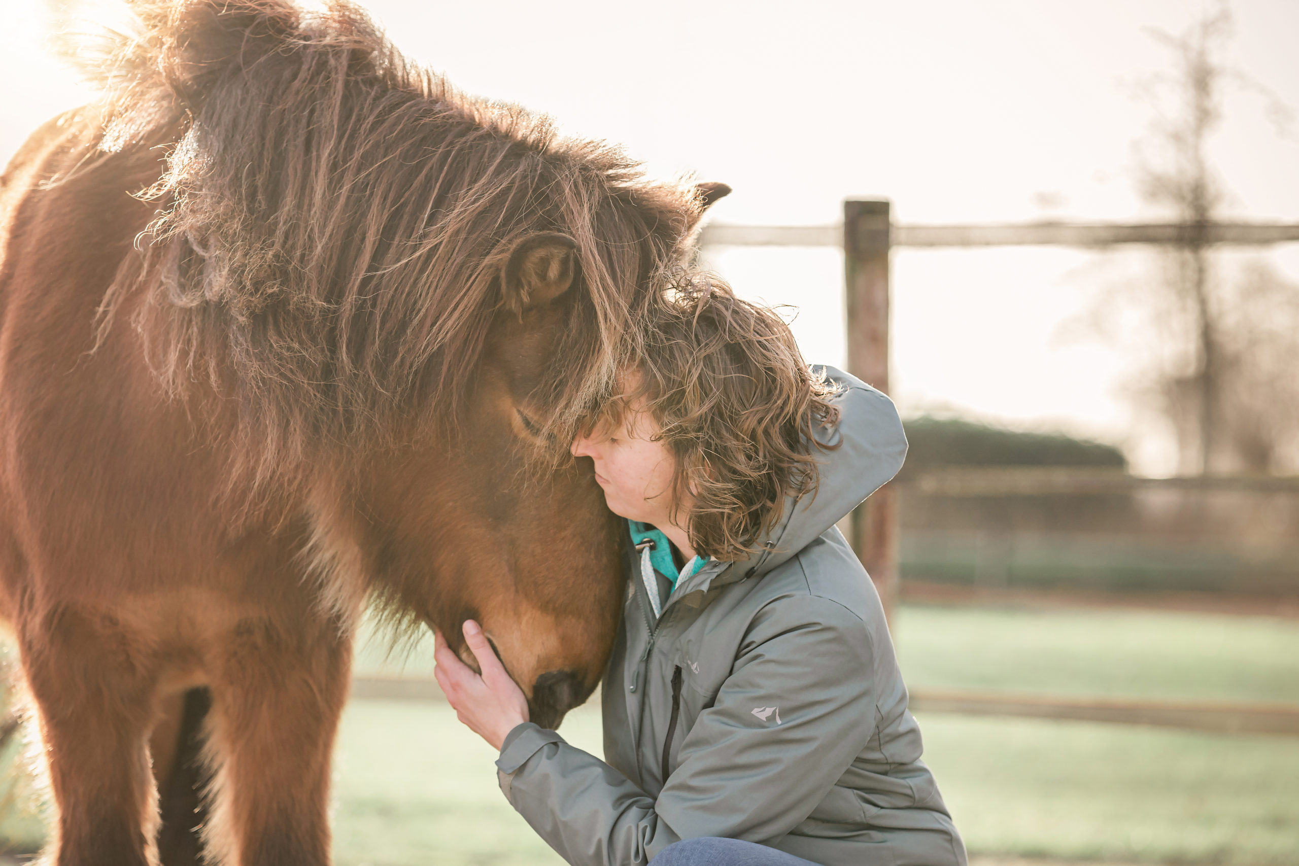 polyvagaal theorie paardencoaching