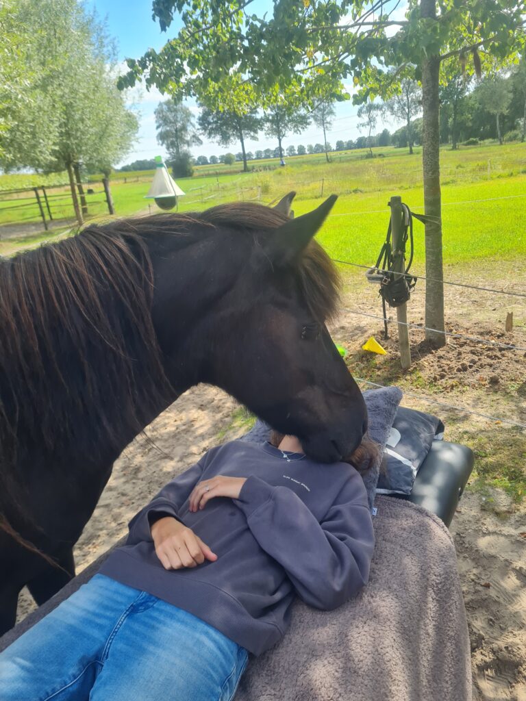 healing energy met paarden
