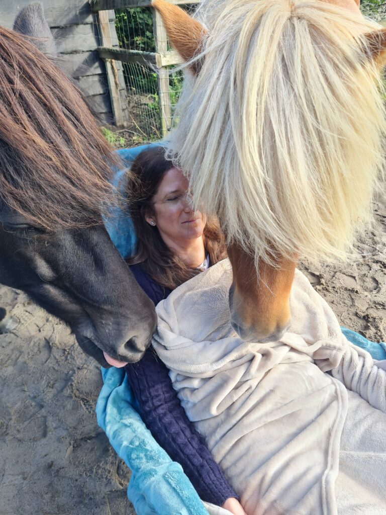 healing met paarden